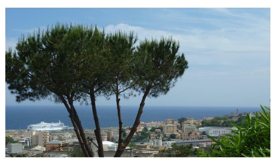 Appartement Vue Mer Bastia  Zewnętrze zdjęcie